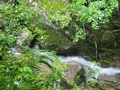 -天目山大树王景区