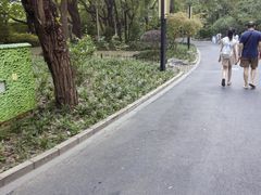 -上海德众堂中医门诊部·骨伤·推拿·针灸