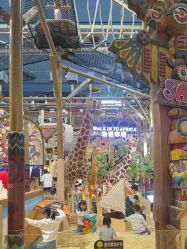-卡通尼·Safari非洲探索乐园·生日会(金桥国际商业广场店)