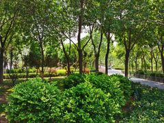 -大兴滨河森林公园