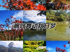 -广州市帽峰山景区