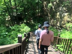 -天女山森林公园