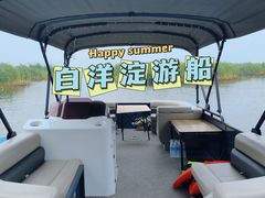 -白洋淀风景区