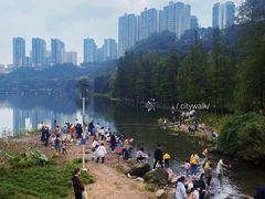 -重庆彩云湖湿地公园