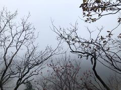 -丹东天桥沟景区