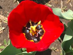 -长春公园(普阳街道)