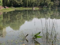 -堤角公园