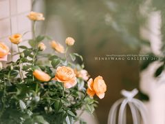 -INSDREAM FLOWER 鲜花预定·花艺培训