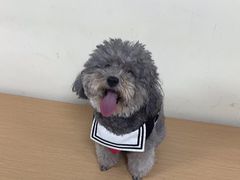-美联众合动物医院·24h京西诊疗中心