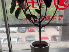 -鸽子侯·家宴·平价海鲜(市图书馆店)