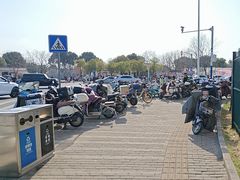 -顾村公园3号门停车场