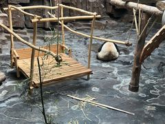 -济南野生动物世界