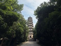 -灵谷景区