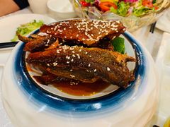 -津悦·正阳春烤鸭(红旗南路店)