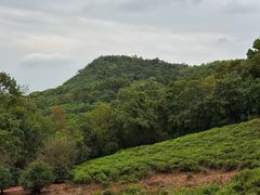 -南京市江宁方山