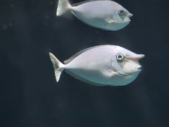 -海合安武汉极地海洋公园