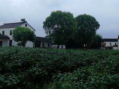 -喜洋洋蟹庄(阳澄湖店)