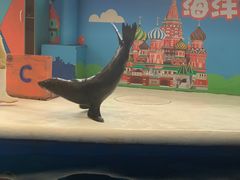 -成都浩海立方海洋公园