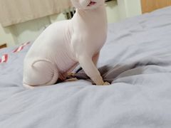 -北京恒爱动物医院(清景园分院)