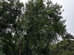 -元大都城垣遗址公园