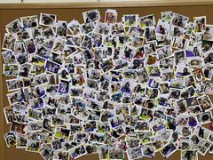 -美联众合动物医院·24h转诊中心