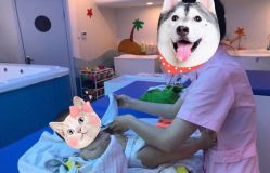 -马博士婴幼儿游泳馆(广安门旗舰店)