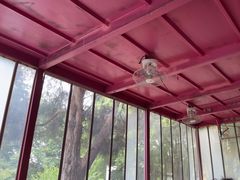 -鸡鸣汤包(红山动物园店)