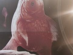 包房-老板恋上鱼(印象城店)