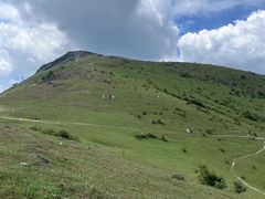 -大姆山草场