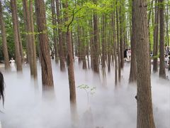 -东湖落雁景区