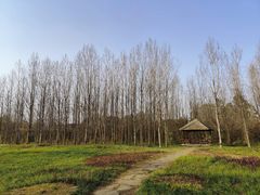 -白鹭湾湿地公园