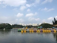 -荔枝公园-小平画像广场