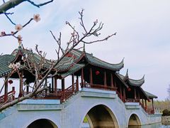 -上海海湾国家森林公园