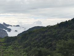 -神农山景区