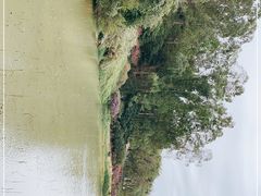 -南国桃园旅游度假区