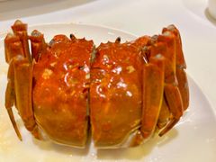 -洋洋中餐馆·SINCE 1997(信投店)