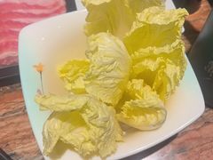 -春润大地海南椰子鸡(沙井京基百纳广场店)