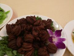 -九花山烤鸭店