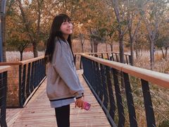 -东郊湿地公园