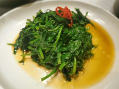 南京菊花脑-民国红公馆·秦淮八艳(夫子庙店)