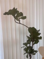 -WENDY·温迪皮肤管理