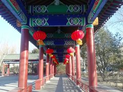 -莲花池公园