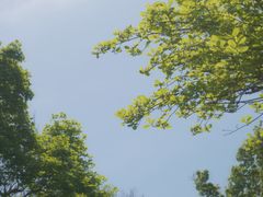 -杭州植物园
