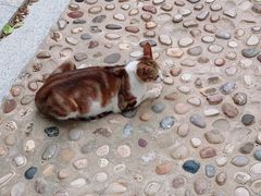 -厦门国家会计学院