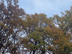 -终南山南五台景区