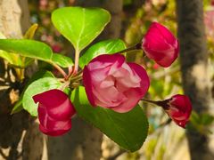 -大兴滨河森林公园