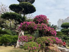 -南宁南湖公园