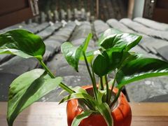 -阆辣荟餐饮(老味道8年·古城店)