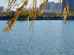 -咸阳湖景区-统一广场