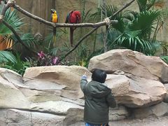 -杭州开元森泊度假乐园